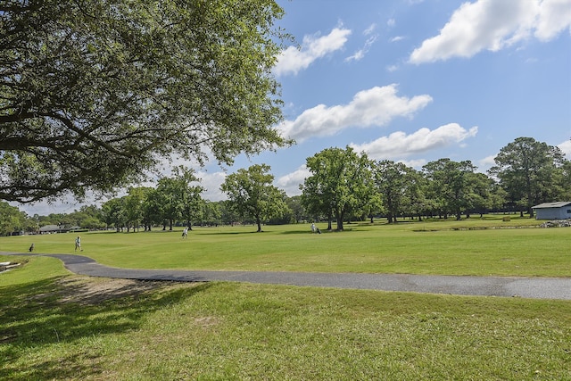 view of community with a lawn