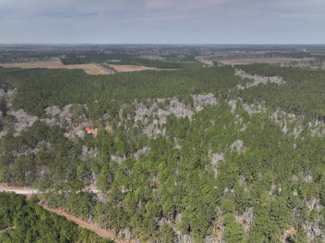 0 Log Cabin Ln, Smoaks, SC 29481