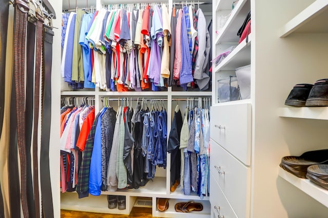 view of spacious closet