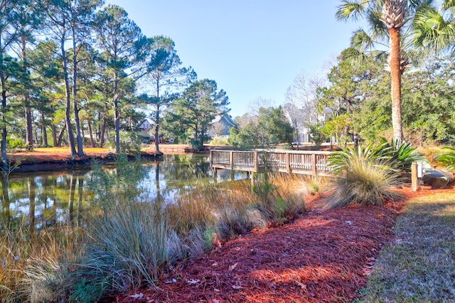 view of dock featuring a water view