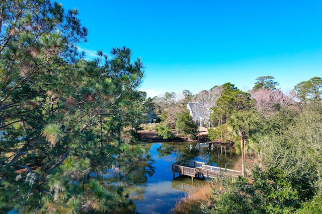 dock area with a water view