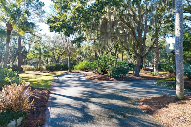 view of road