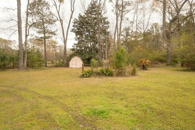 424 Salley Ackerman Dr, Cottageville, SC 29435 - view of yard with an outbuilding and a storage shed