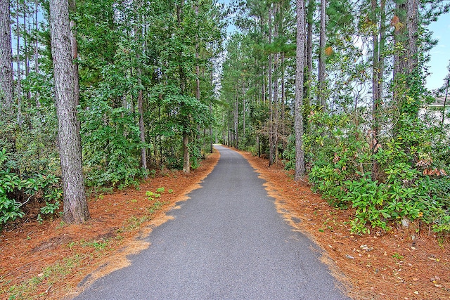 108 Glenspring Dr, Summerville, SC 29486 - view of street with a forest view