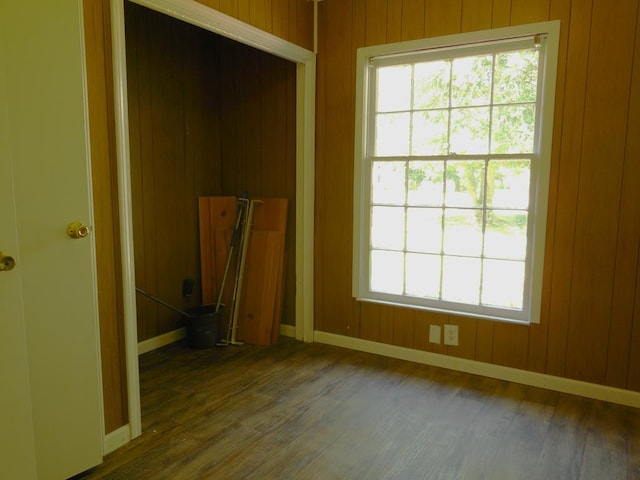 interior space with wood walls and hardwood / wood-style floors