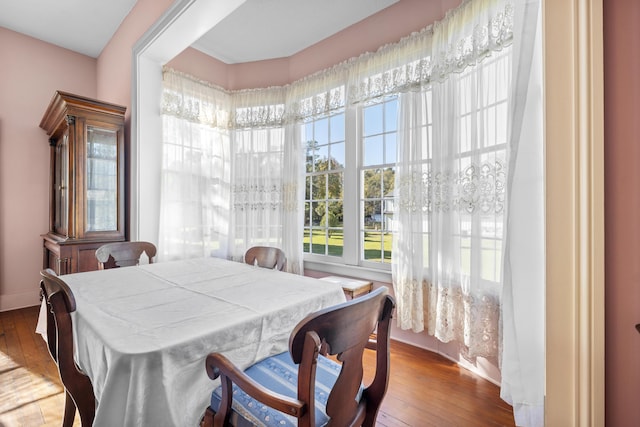 dining room featuring dark hardwood / wood-style flooring