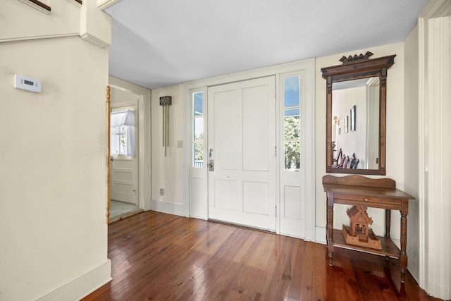 entrance foyer with hardwood / wood-style flooring