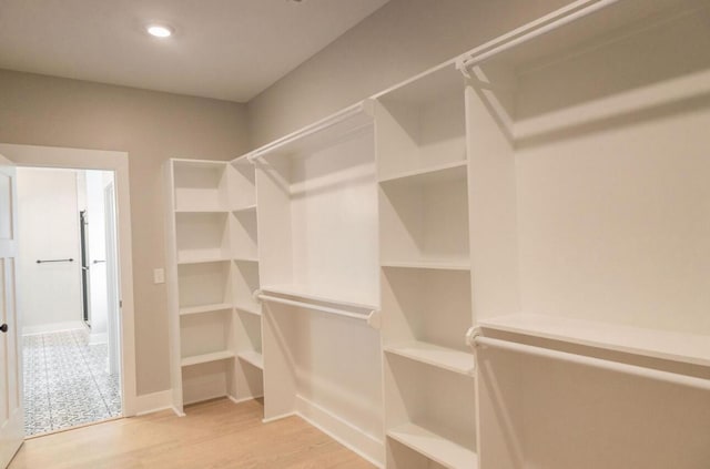 74 Longleaf Dr, Walterboro, SC 29488 - spacious closet with wood finished floors
