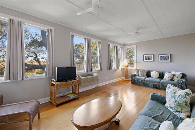 living room featuring light hardwood / wood-style floors, ceiling fan, and a drop ceiling