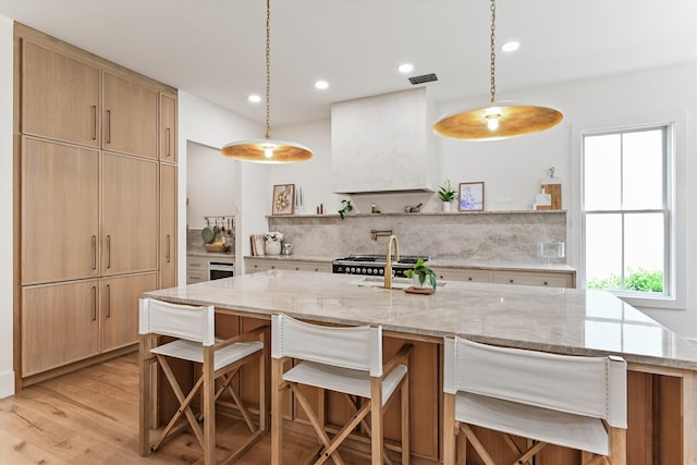 1474 Blue Cascade Dr, Mount Pleasant, SC 29464 - kitchen with open shelves, light wood-style floors, recessed lighting, light stone counters, and a sink