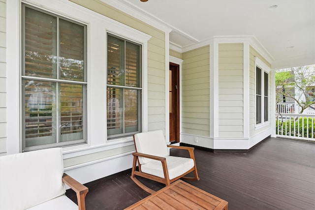 1474 Blue Cascade Dr, Mount Pleasant, SC 29464 - view of porch