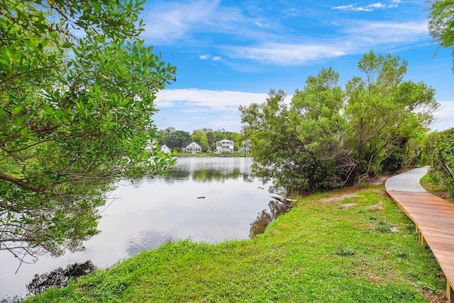 1474 Blue Cascade Dr, Mount Pleasant, SC 29464 - water view