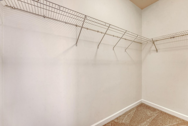 walk in closet featuring carpet