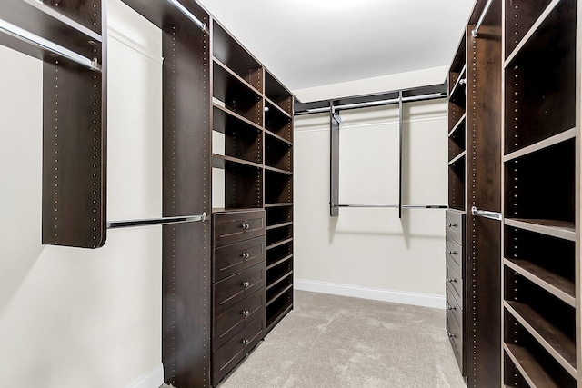 walk in closet with light carpet