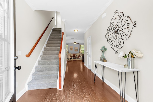 foyer featuring stairway, baseboards, dark wood-style flooring, and ornamental molding