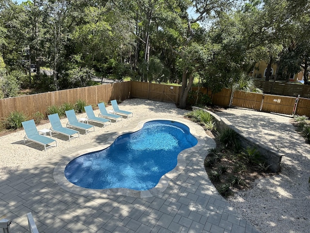 view of swimming pool with a patio area