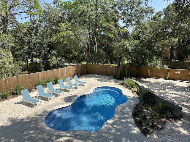 view of pool featuring a patio