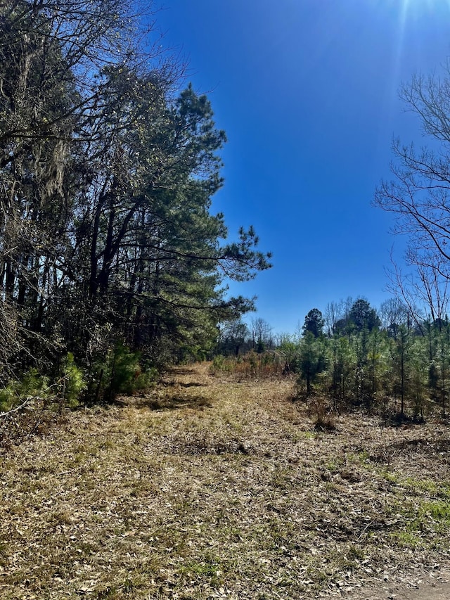 1366 Peirce Rd, Cottageville SC, 29435 land for sale