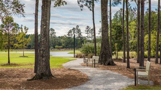 surrounding community with a yard