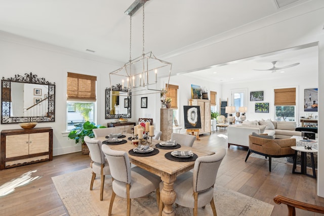 dining room with plenty of natural light, wood-type flooring, ceiling fan with notable chandelier, and ornamental molding