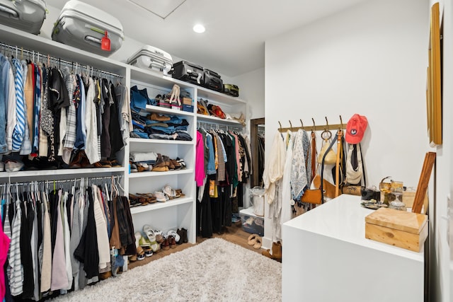 view of spacious closet