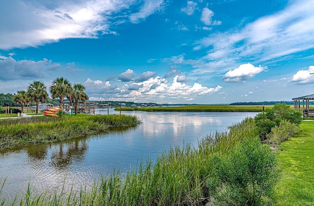 307 Morning Marsh Ln, Charleston, SC 29492 - water view