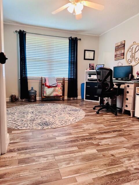 home office featuring crown molding, ceiling fan, and light wood-type flooring