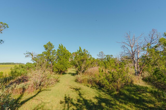 0 Stono River Dr, Charleston, SC 29412