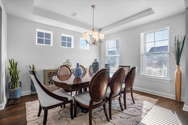 dining room with a notable chandelier, a healthy amount of sunlight, a tray ceiling, and wood finished floors