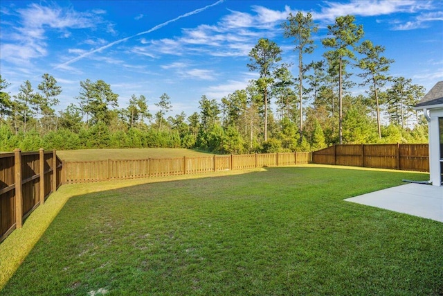 view of yard with a fenced backyard and a patio area