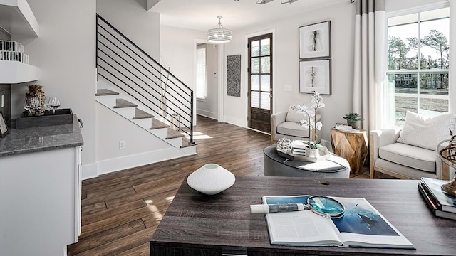 foyer entrance featuring dark hardwood / wood-style floors and plenty of natural light