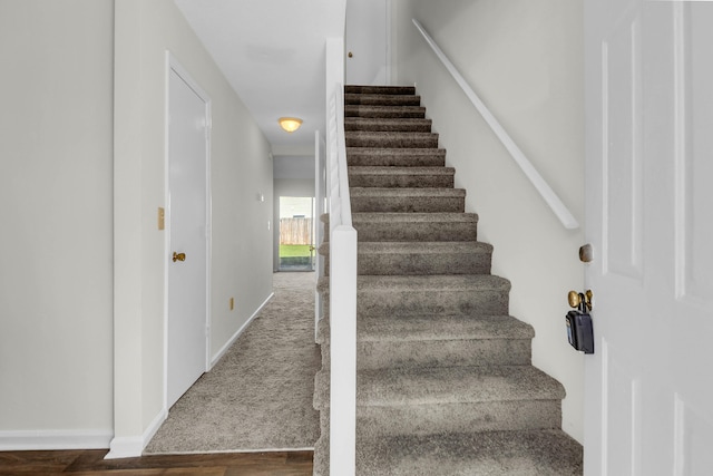 stairway with hardwood / wood-style floors