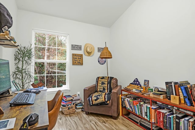 office with light hardwood / wood-style flooring and plenty of natural light