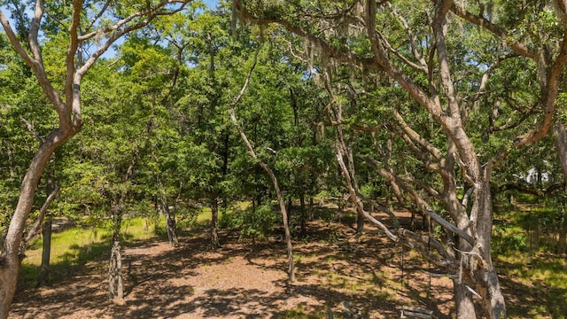 31 Tupelo Trl, Edisto Island, SC 29438