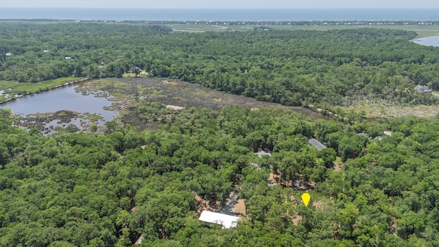 31 Tupelo Trl, Edisto Island, SC 29438