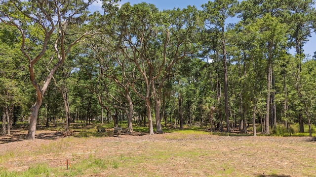 31 Tupelo Trl, Edisto Island, SC 29438