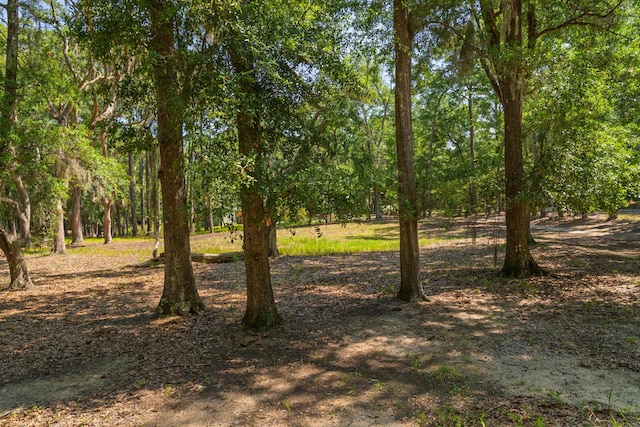 31 Tupelo Trl, Edisto Island, SC 29438