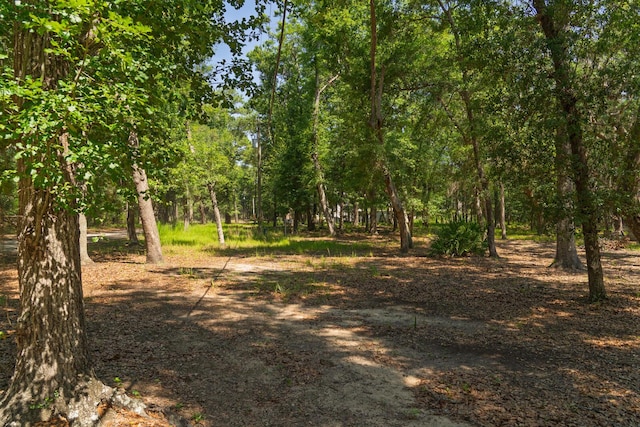 31 Tupelo Trl, Edisto Island, SC 29438