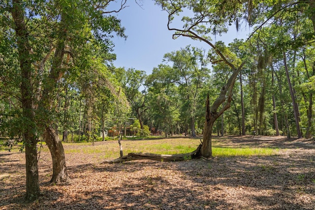 31 Tupelo Trl, Edisto Island, SC 29438