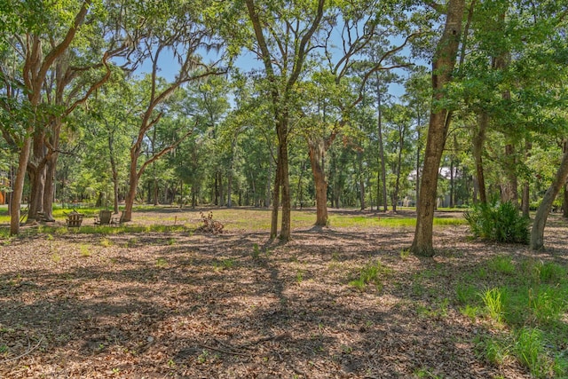 31 Tupelo Trl, Edisto Island, SC 29438