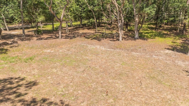 31 Tupelo Trl, Edisto Island, SC 29438