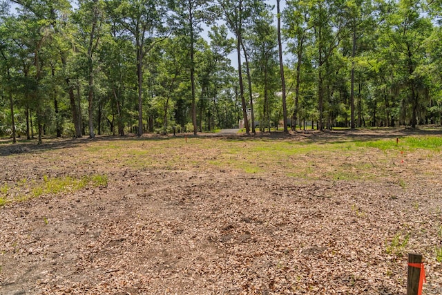 31 Tupelo Trl, Edisto Island, SC 29438