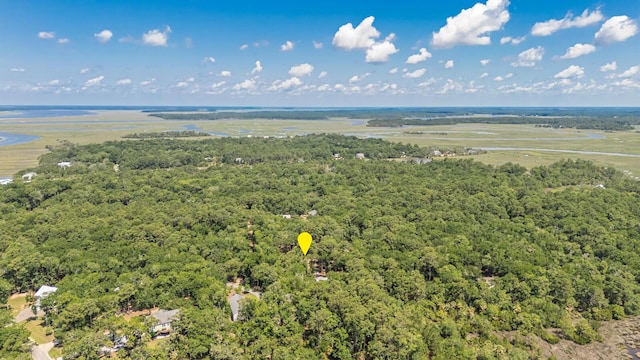31 Tupelo Trl, Edisto Island, SC 29438