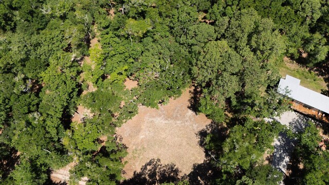 31 Tupelo Trl, Edisto Island, SC 29438