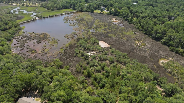 31 Tupelo Trl, Edisto Island, SC 29438