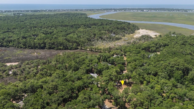 31 Tupelo Trl, Edisto Island, SC 29438