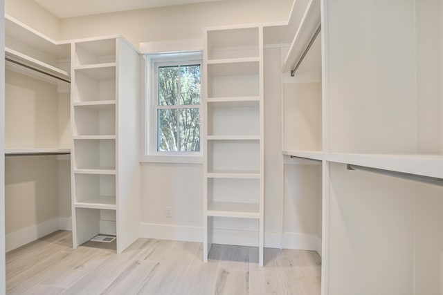 spacious closet with light hardwood / wood-style flooring