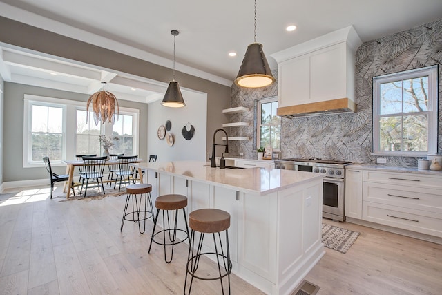 kitchen with sink, custom exhaust hood, white cabinetry, high end stove, and a kitchen island with sink