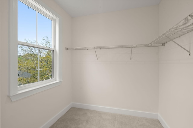 spacious closet with carpet floors