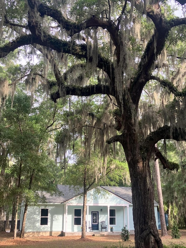 5233 Maybank Hwy, Wadmalaw Island, SC 29487 - view of front of house featuring a porch and roof with shingles